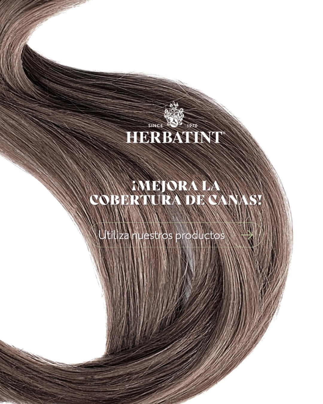 MEJOR_COBERTURA_CANAS_- 45 - portada.jpg